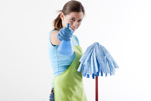 Professional window cleaning improving exterior curb appeal