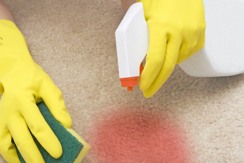 Move in cleaning of a bright empty living room