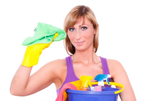 Window cleaning tools and purified water system in use