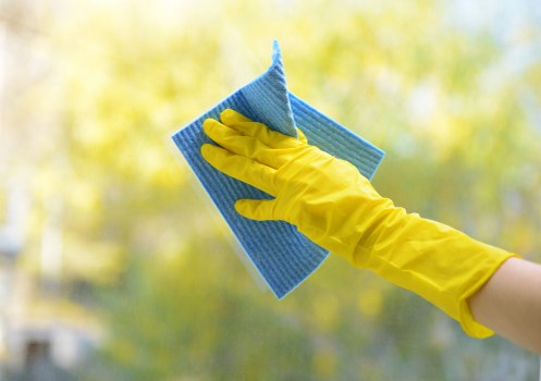 Domestic cleaning supplies arranged for kitchen and bathroom use