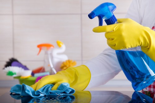Professional rug cleaning process in a home setting