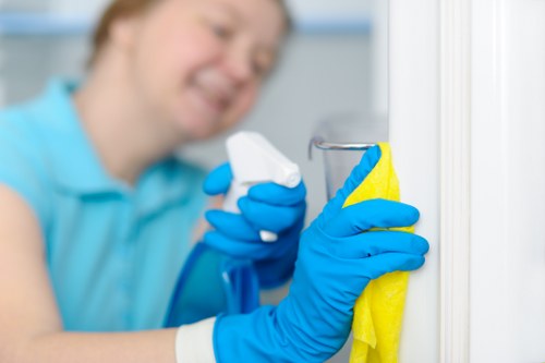 Professional domestic cleaning in a modern family home