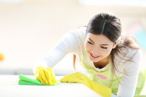 Different sofa upholstery cleaning materials