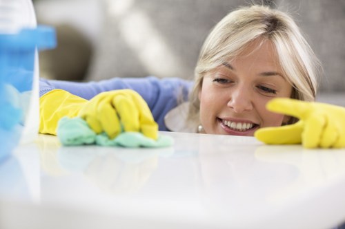 Seasonal deep cleaning routine for a fresh and organized space