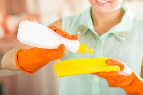 Eco-friendly house cleaning supplies on a neat surface