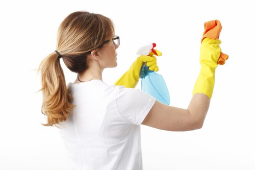 Commercial window cleaning for a polished business appearance