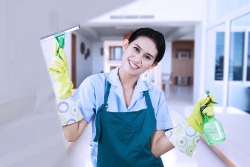 Professional cleaner maintaining a Docklands commercial space