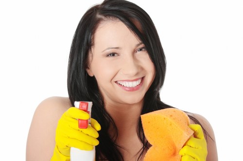 Cleaning plaster dust and residue after renovation